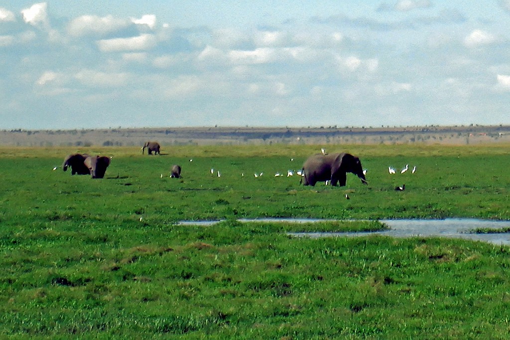 Kenia (254).jpg